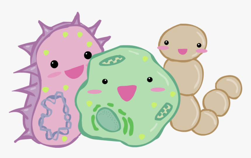 Bacteria Png - Bacterias Png, Transparent Png, Free Download