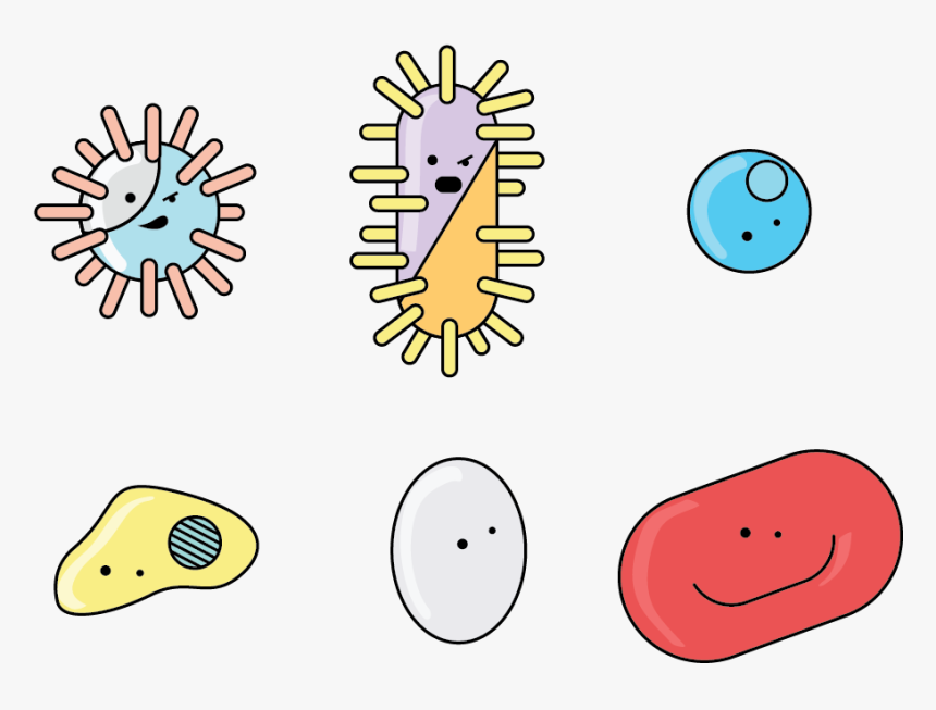 Pencil And In Color - Transparent Background Germs Clipart, HD Png Download, Free Download