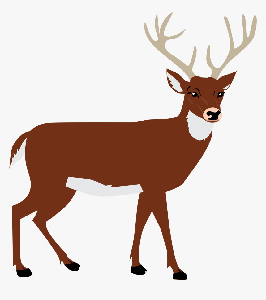 Male Deer Icons Png - Deer Png Clipart, Transparent Png, Free Download