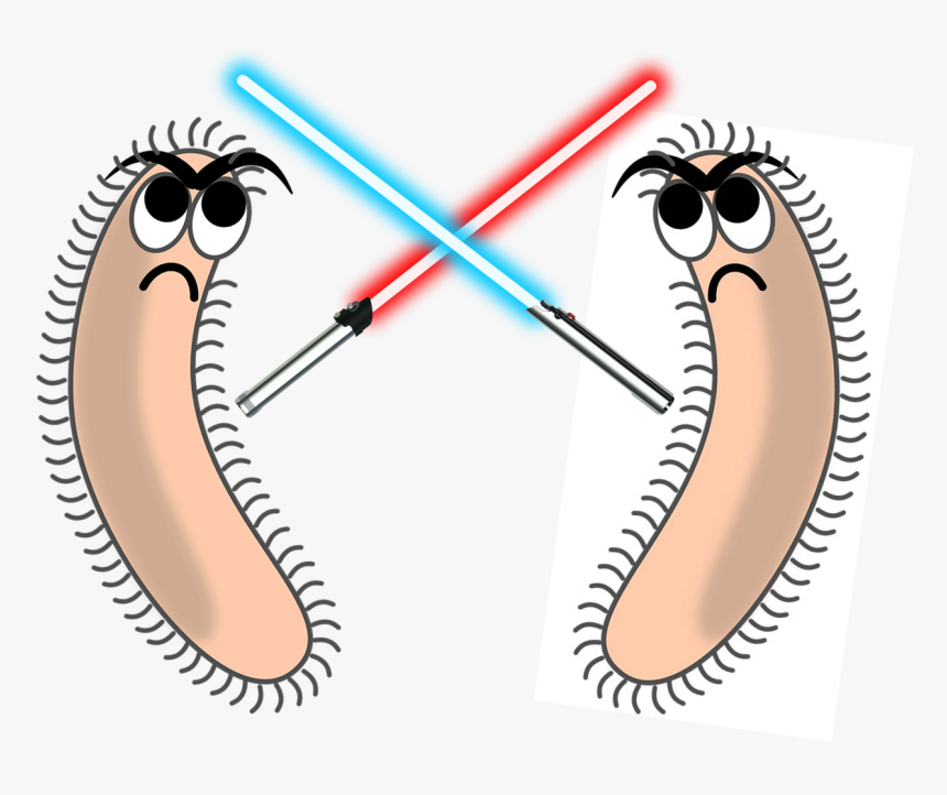 Bacterial Machinery For Competition, Killing And Defense, HD Png Download, Free Download