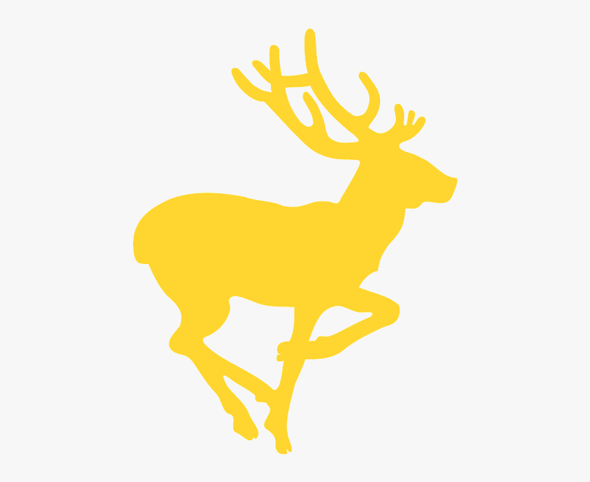 Elk, HD Png Download, Free Download