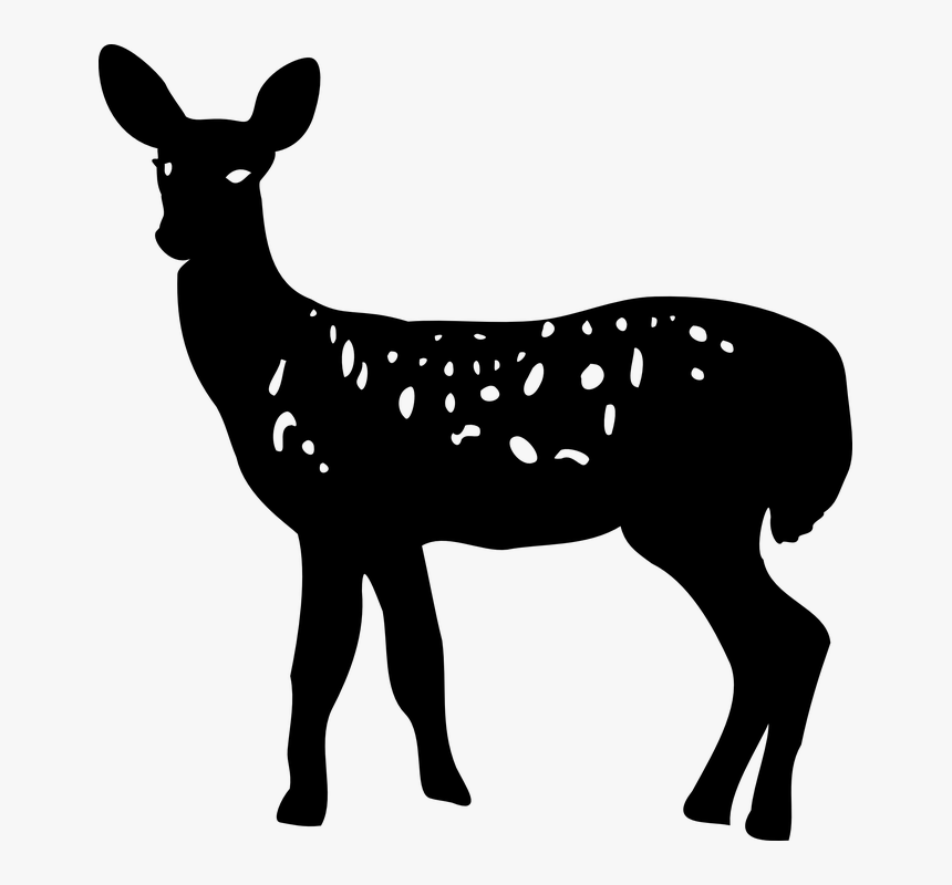 Animal Deer Doe Nature Silhouette Doe Deer Silhouette Png.