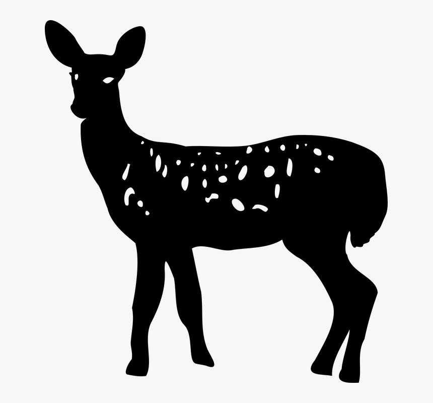 Animal, Deer, Doe, Nature, Silhouette - Doe Deer Silhouette Png, Transparent Png, Free Download