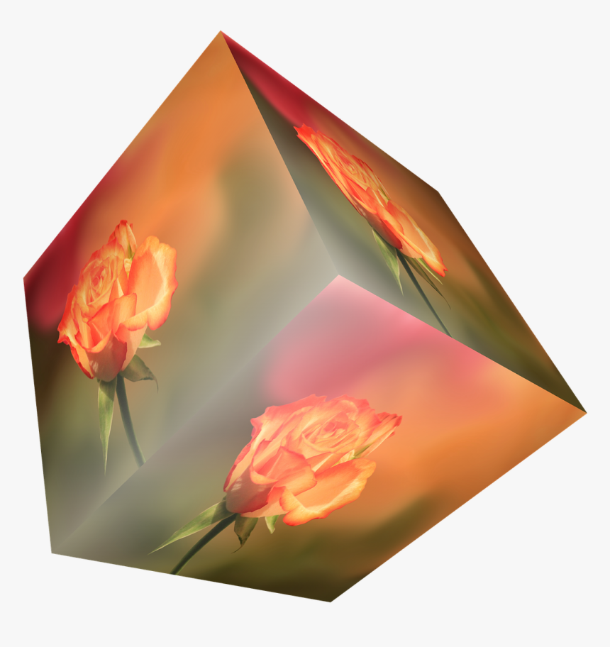 Cube Flower Rose Free Picture - Rose, HD Png Download, Free Download