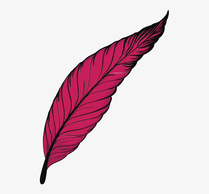 Transparent Falling Feathers Png - Pink Feather Png Png, Png Download, Free Download