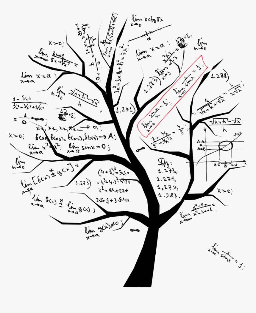 Math Tree, HD Png Download, Free Download