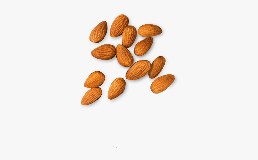 Almond Png - Transparent Almonds Png, Png Download, Free Download