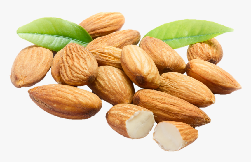 Almond,food,nut,dried Fruit,plant,nuts & Kernel,prunus,cuisine, HD Png Download, Free Download
