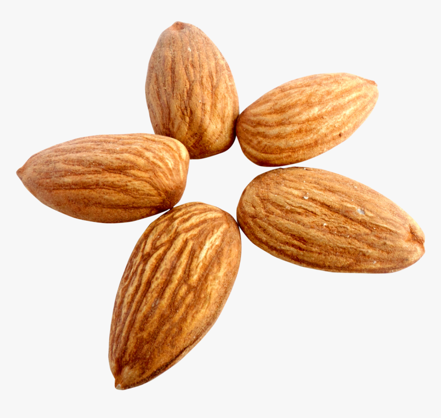 Png Free Images Toppng - Almond Png, Transparent Png, Free Download