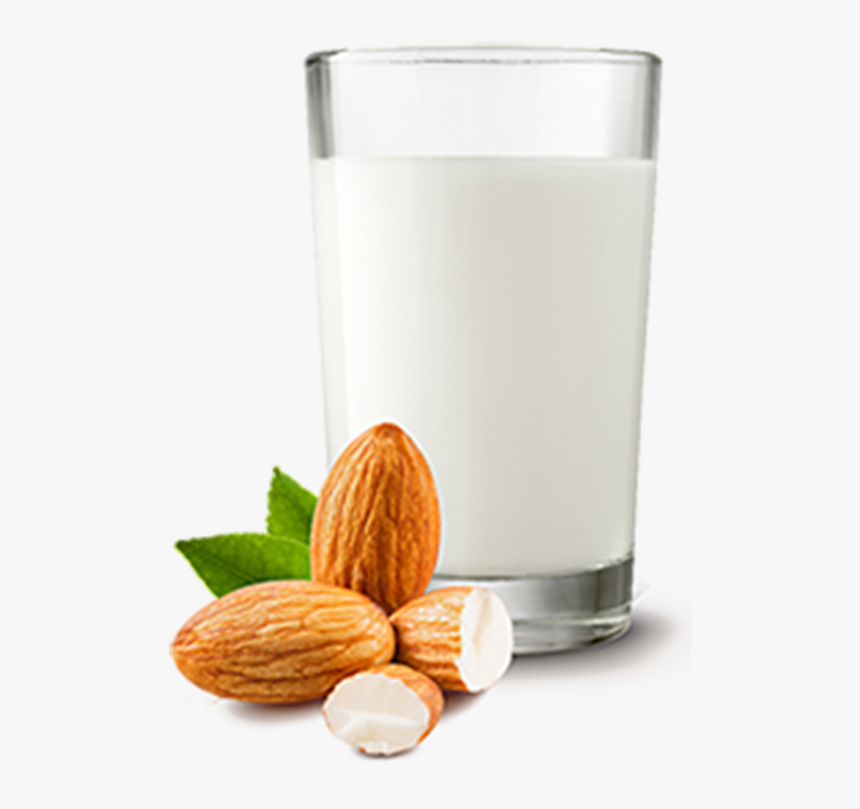 Almond , Png Download - Transparent Badam Milk Png, Png Download, Free Download