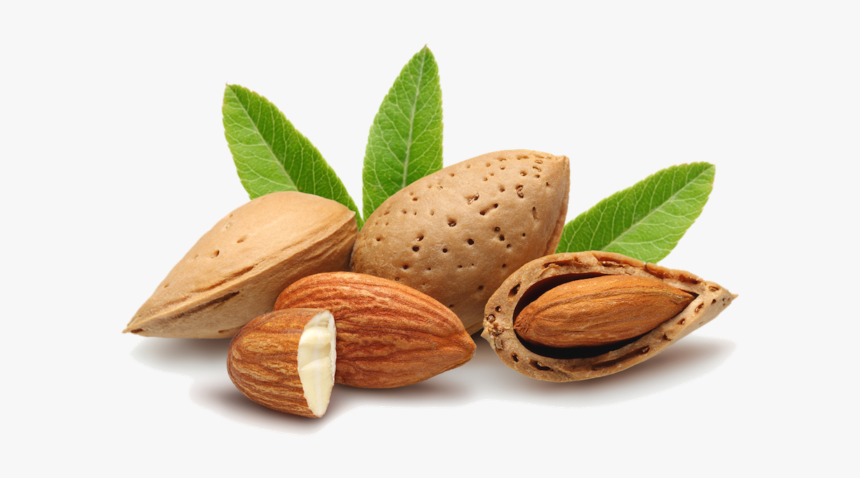 Sweet Almond Oil Png, Transparent Png, Free Download