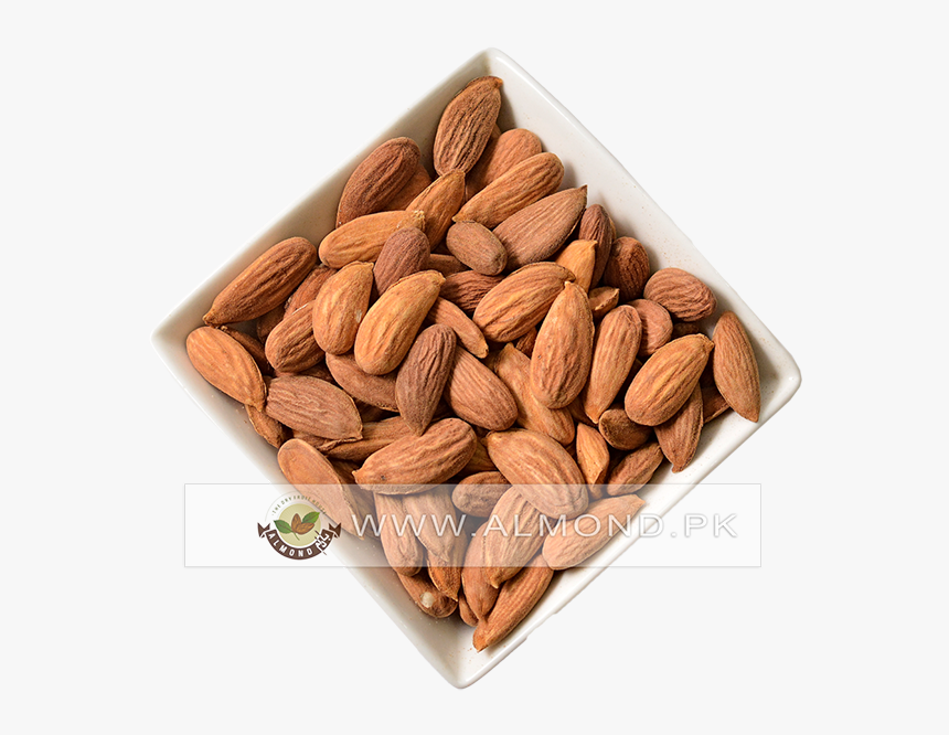 Almond, HD Png Download, Free Download