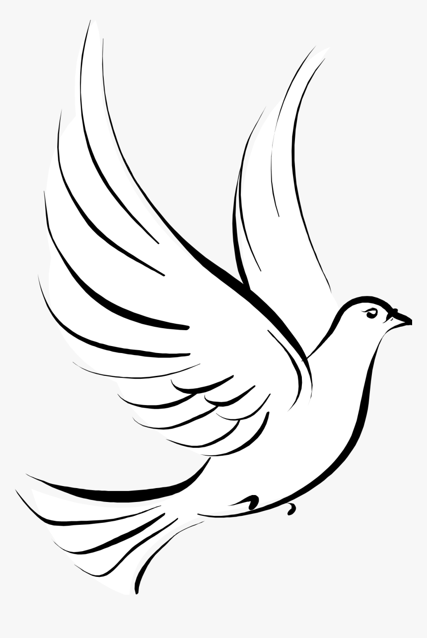 Pigeons And Doves - Visual Literacy Images Of Symbols, HD Png Download, Free Download