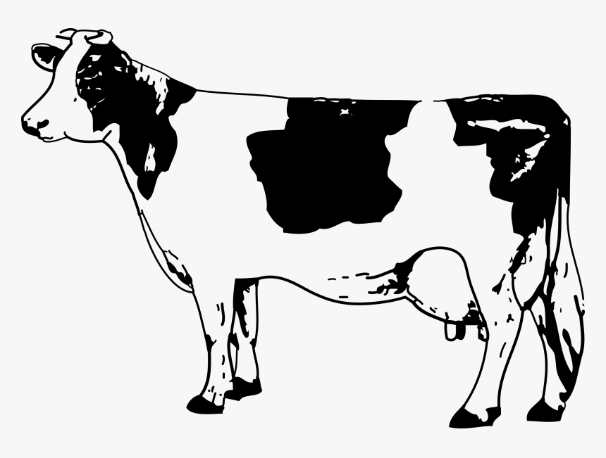 Indian Clipart Cow - Cow Clipart Black And White, HD Png Download, Free Download