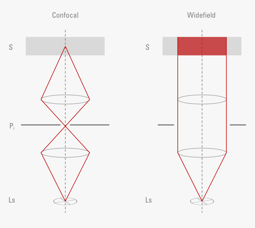 Diagram, HD Png Download, Free Download