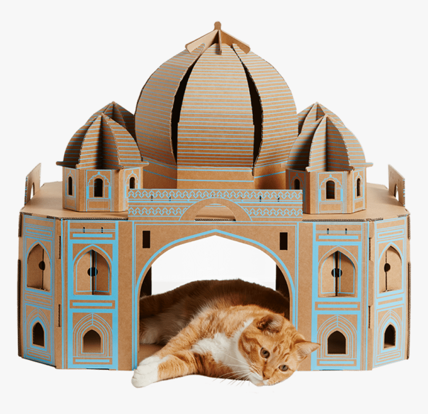 Poopy Cat Taj Mahal, HD Png Download, Free Download