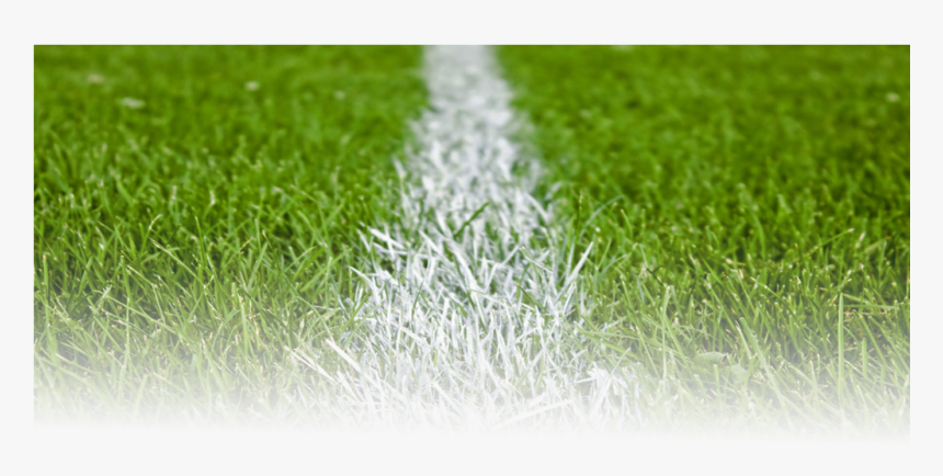 Transparent Grass Png - Football Grass Png, Png Download, Free Download