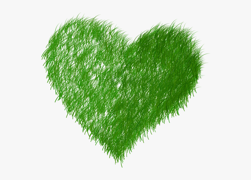 Echo, Ecology, Green, Grass, Prato - Dibujo Ecologia Imagenes Png, Transparent Png, Free Download