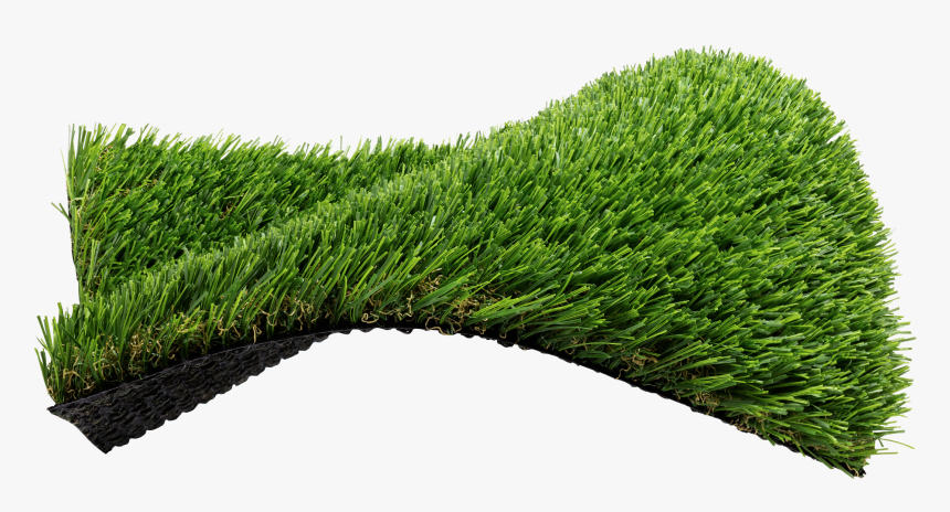 Lawn, HD Png Download, Free Download