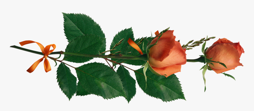 Fleurs D Amour Png, Transparent Png, Free Download