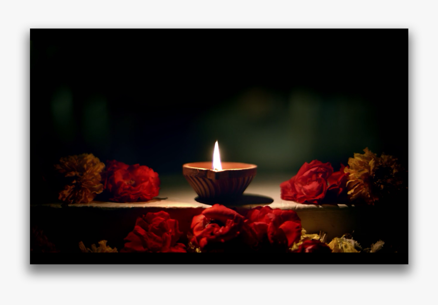 Still Life Photography, HD Png Download, Free Download