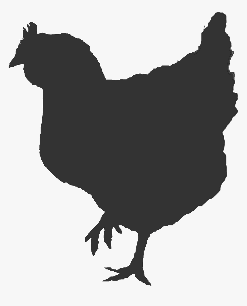 Transparent Chicken Silhouette Png - Broiler Chicken Black And White, Png Download, Free Download