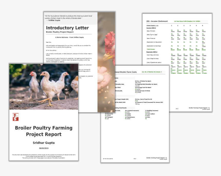 Broiler Farming Project Report Pdf - Chicken, HD Png Download, Free Download