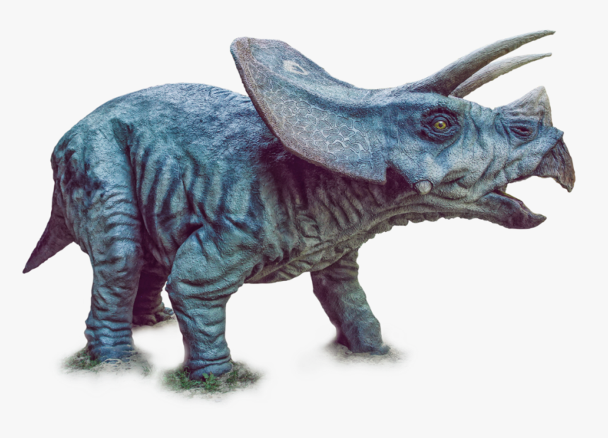 Triceratops Png - Dinosaur Triceratops Png, Transparent Png, Free Download
