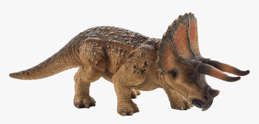 Mojo Triceratops , Png Download - Triceratops Png, Transparent Png, Free Download