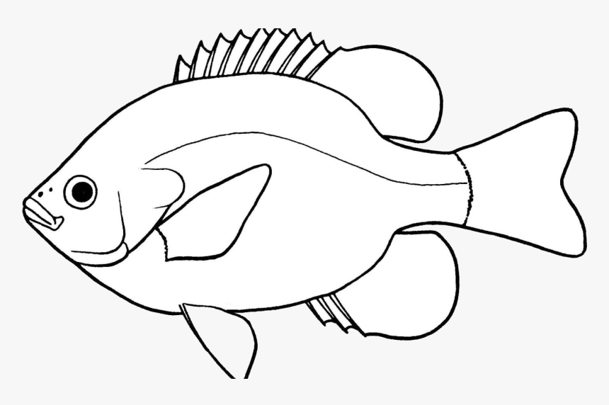 Fish Lovely Of Clipart Black And White Letter Master - Clip Art Fish Black And White, HD Png Download, Free Download