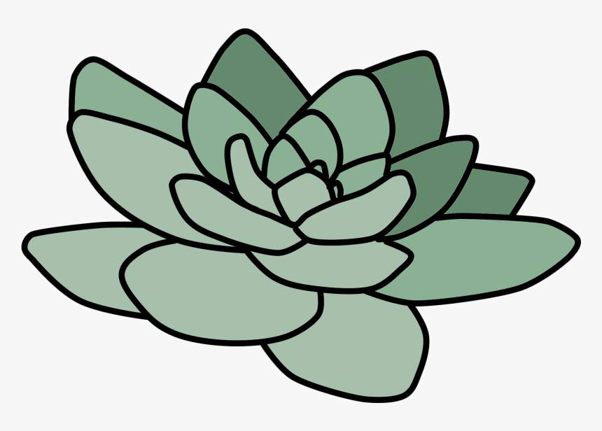 Cactus Art Tumblr Cactus Tumbler Transparent Pineapple - Cactus Png, Png Download, Free Download