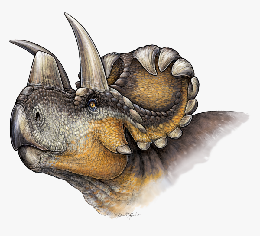 Wendiceratops Restoration - Wendiceratops Pinhornensis, HD Png Download, Free Download