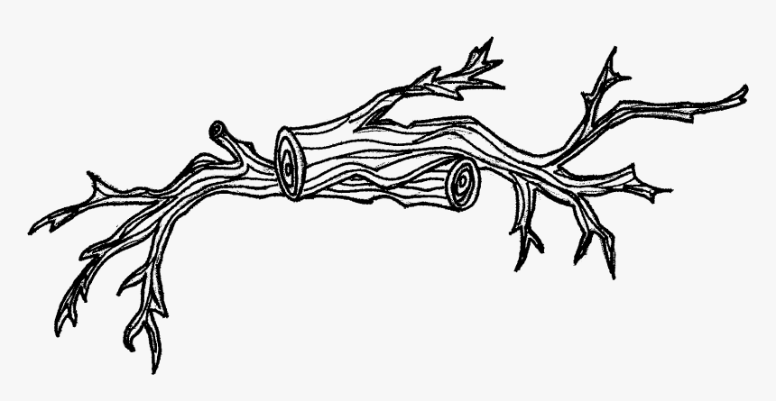 Twig, HD Png Download, Free Download