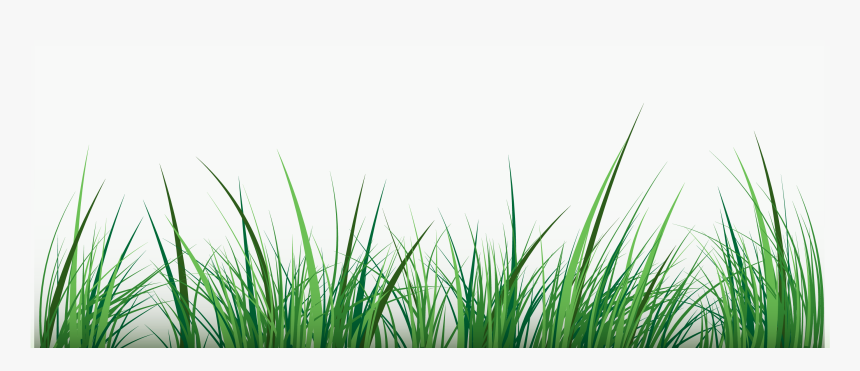 Green Clip Art - Water Grass Vector Png, Transparent Png, Free Download