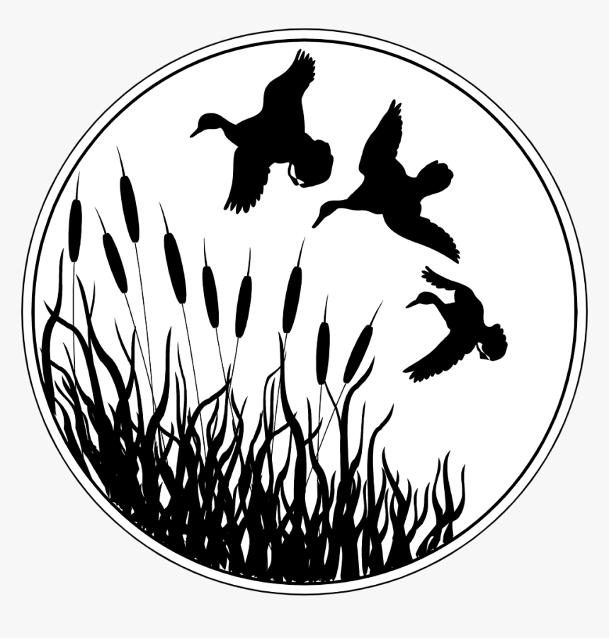 Ducks Free Stock Photo - Ducks Flying Black And White, HD Png Download, Free Download