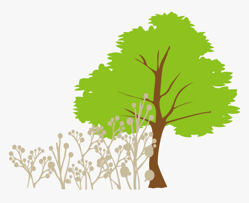 Tree Euclidean Vector Clip Art - Tree Vector Png Free, Transparent Png, Free Download