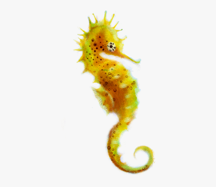 Download Seahorse Png Picture - Transparent Background Seahorse Transparent, Png Download, Free Download