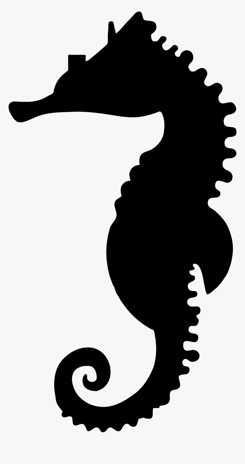 Seahorse Png - Sea Horse Vector Png, Transparent Png, Free Download