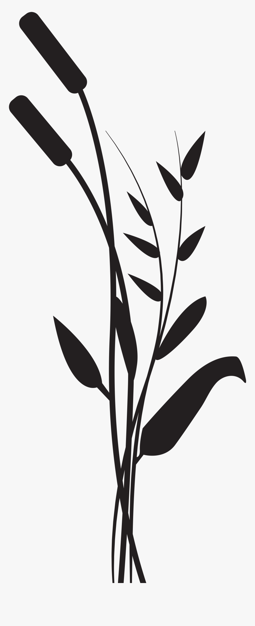 Silhouette Drawing Photography Clip Art - Plant Silhouette Transparent, HD Png Download, Free Download