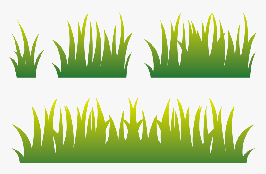 Lawn Euclidean Vector - Vector Of Paddy Field, HD Png Download, Free Download