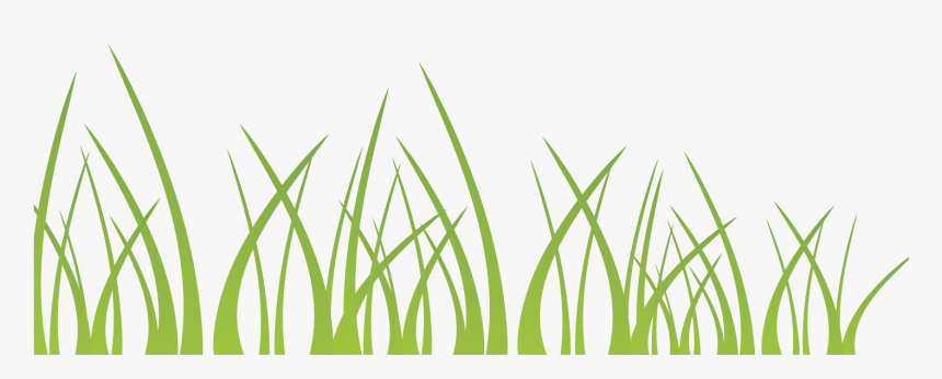 Vector Green Grass Decoration Illustration Background, HD Png Download, Free Download