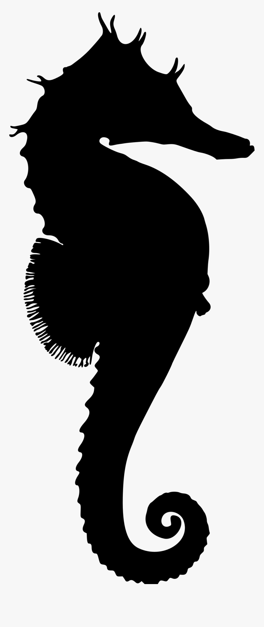 Seahorse Png - Seahorse Clipart Silhouette, Transparent Png, Free Download