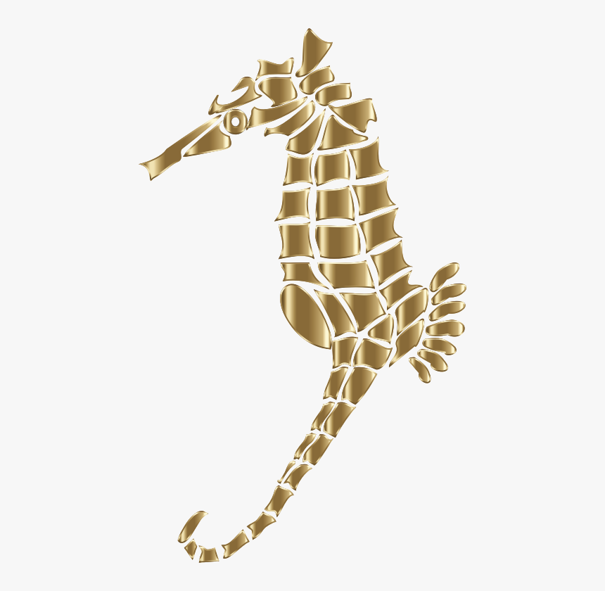 Seahorse, HD Png Download, Free Download