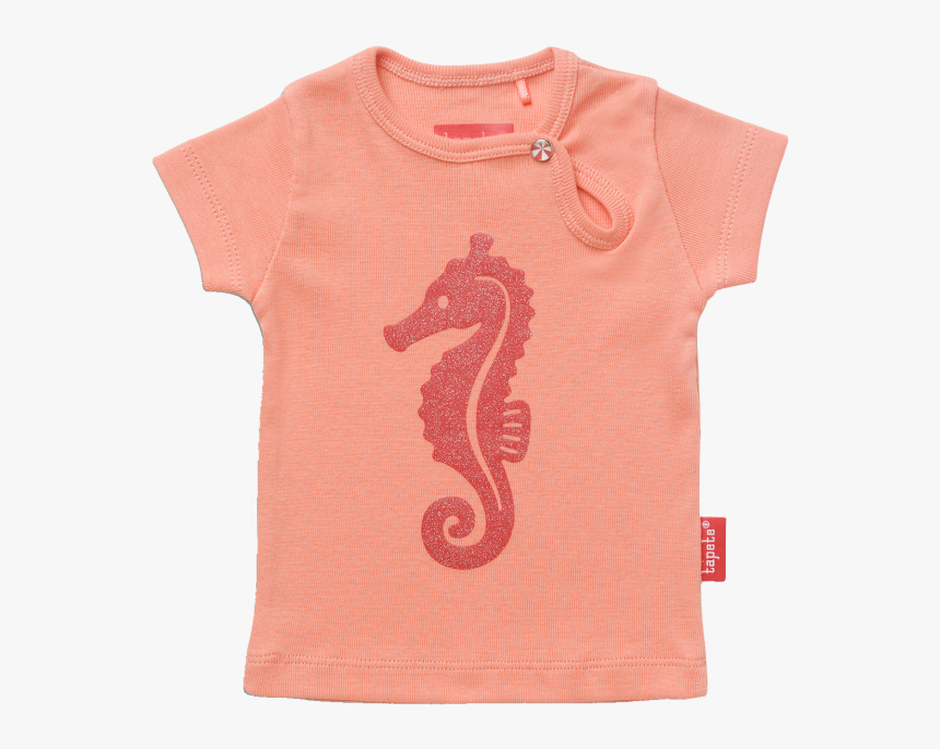 Tapete Ava Sea Horse - Northern Seahorse, HD Png Download, Free Download