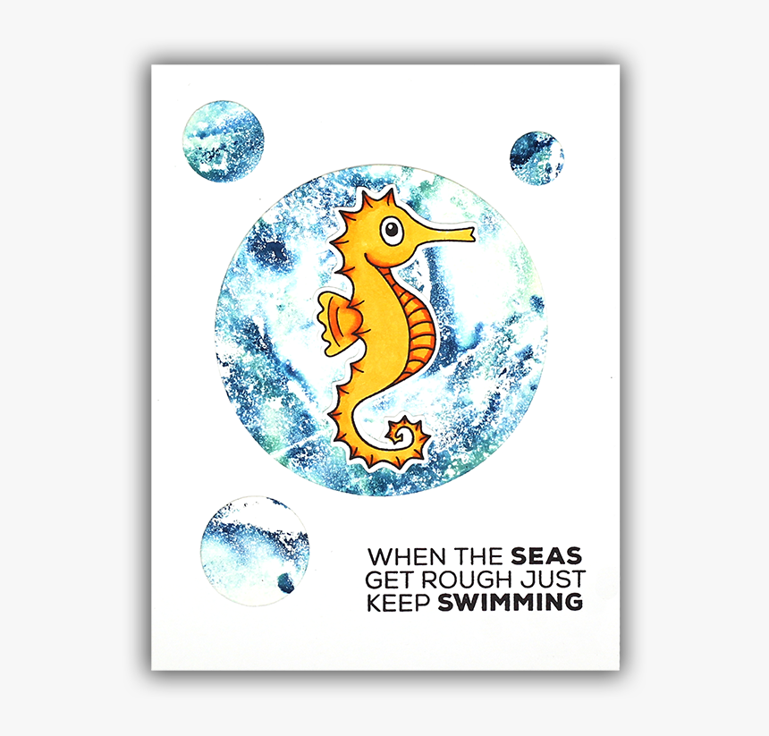 Transparent Sea Horse Png - Northern Seahorse, Png Download, Free Download