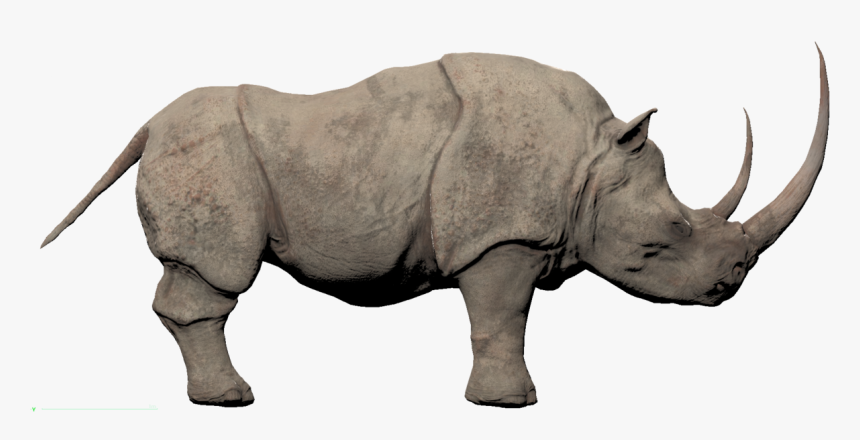 Rhino Png Free Pic - Conan Exiles White Rhino, Transparent Png, Free Download