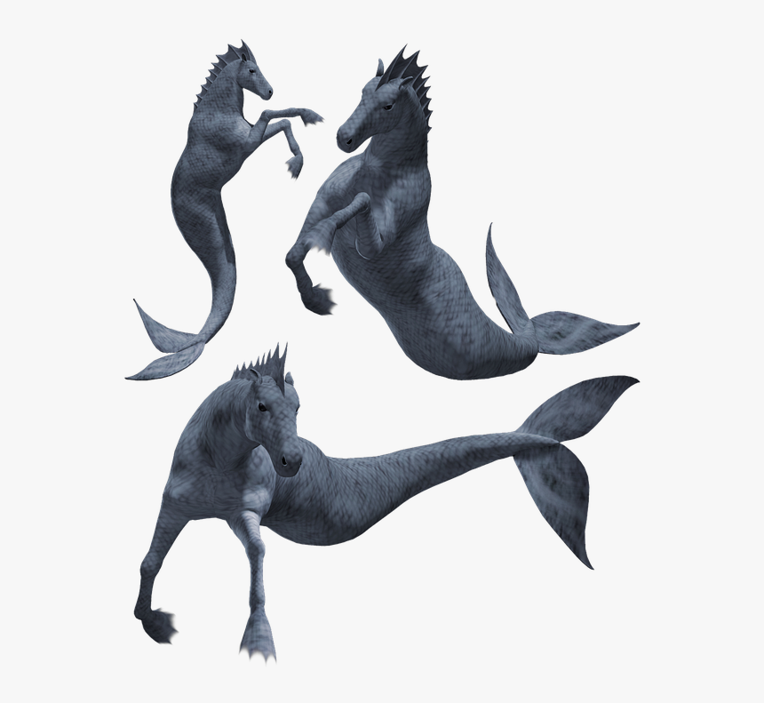 Hippocampus, Seahorse, Monster, Creature, Beast, Horse - Seahorse Monster, HD Png Download, Free Download