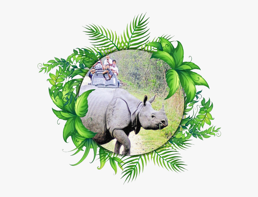 Jungle Clipart Rhino - Molduras Redondas Com Folhas Verdes, HD Png Download, Free Download