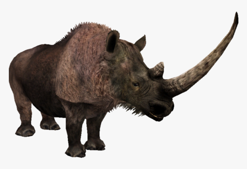 Bison, HD Png Download, Free Download