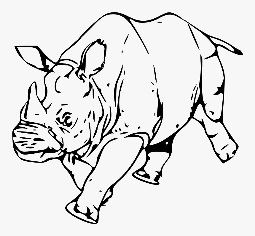 Rhinoceros Line Art Drawing Clip Art - Head Rhino Silhouette, HD Png Download, Free Download